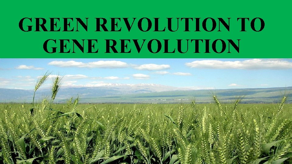 GREEN REVOLUTION TO GENE REVOLUTION 