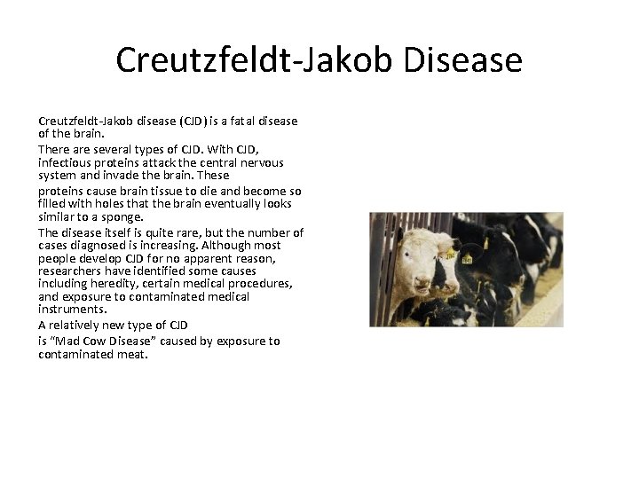 Creutzfeldt-Jakob Disease Creutzfeldt-Jakob disease (CJD) is a fatal disease of the brain. There are