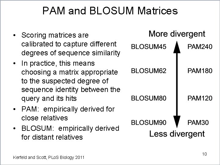 PAM and BLOSUM Matrices • Scoring matrices are calibrated to capture different degrees of