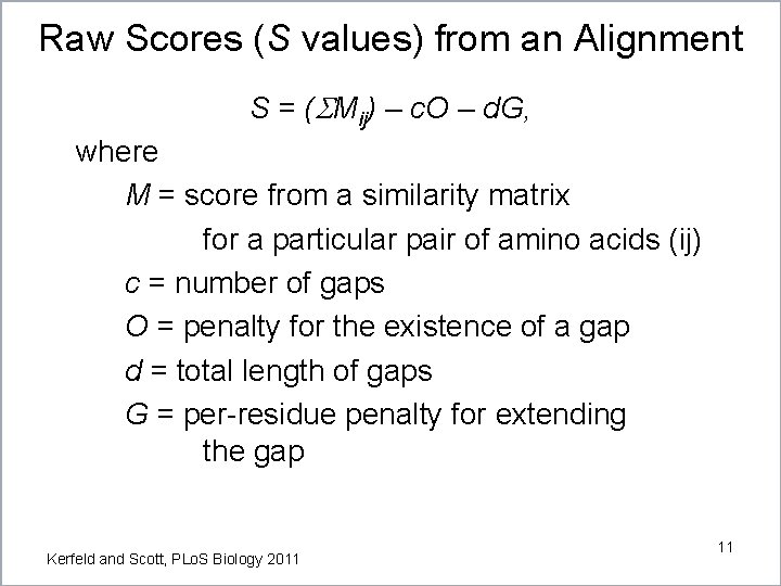Raw Scores (S values) from an Alignment S = (SMij) – c. O –
