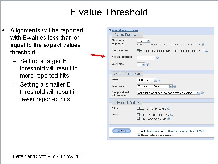 E value Threshold • Alignments will be reported with E-values less than or equal