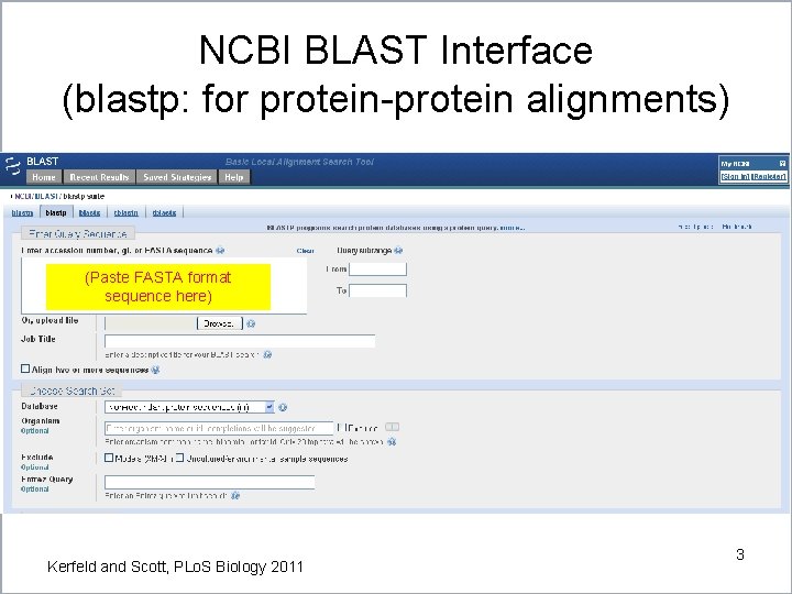 BLAST Slides adapted edited from a set by