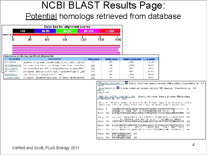 NCBI BLAST Results Page: Potential homologs retrieved from database Kerfeld and Scott, PLo. S