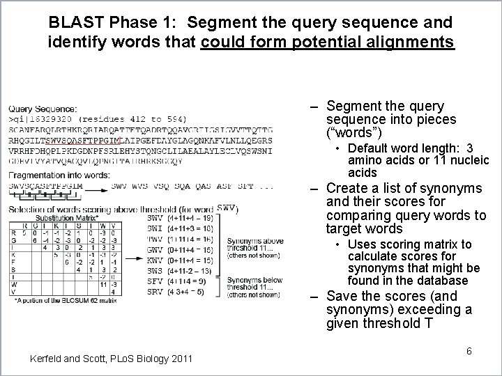 BLAST Phase 1: Segment the query sequence and identify words that could form potential