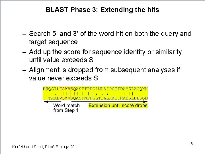 BLAST Phase 3: Extending the hits – Search 5’ and 3’ of the word