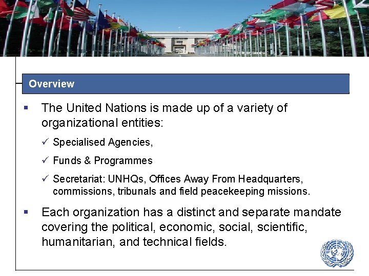 Overview § The United Nations is made up of a variety of organizational entities: