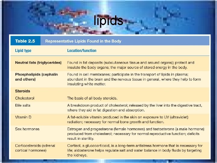 lipids 