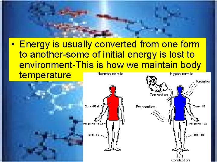  • Energy is usually converted from one form to another-some of initial energy