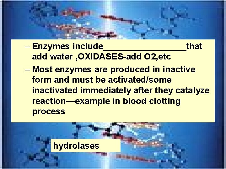 – Enzymes include_________that add water , OXIDASES-add O 2, etc – Most enzymes are