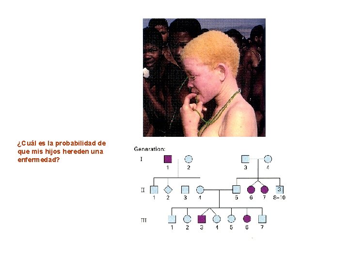 ¿Cuál es la probabilidad de que mis hijos hereden una enfermedad? 