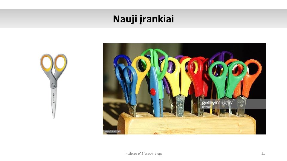 Nauji įrankiai Institute of Biotechnology 11 