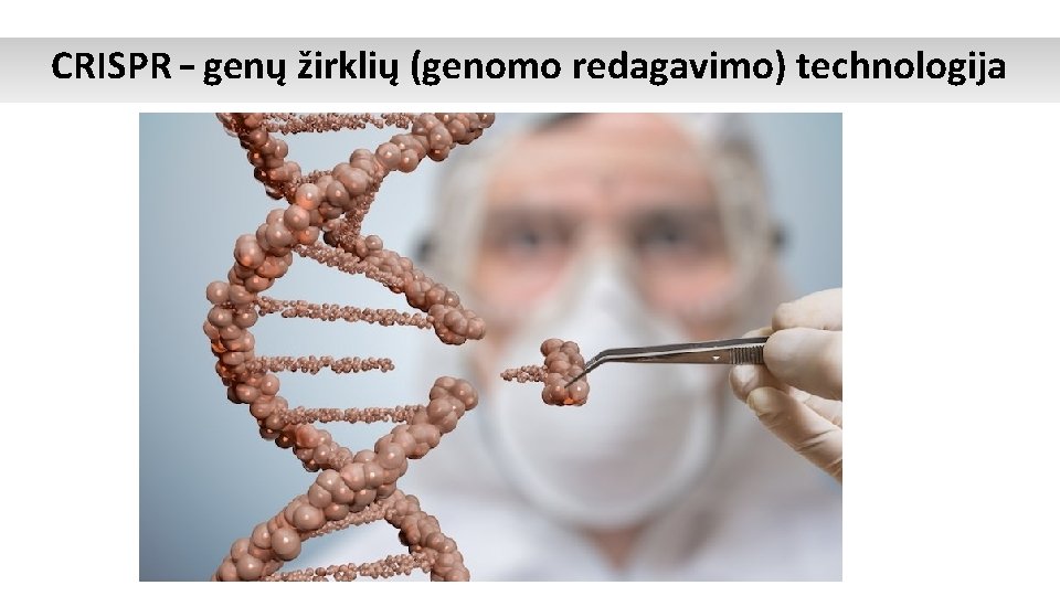 CRISPR – genų žirklių (genomo redagavimo) technologija 