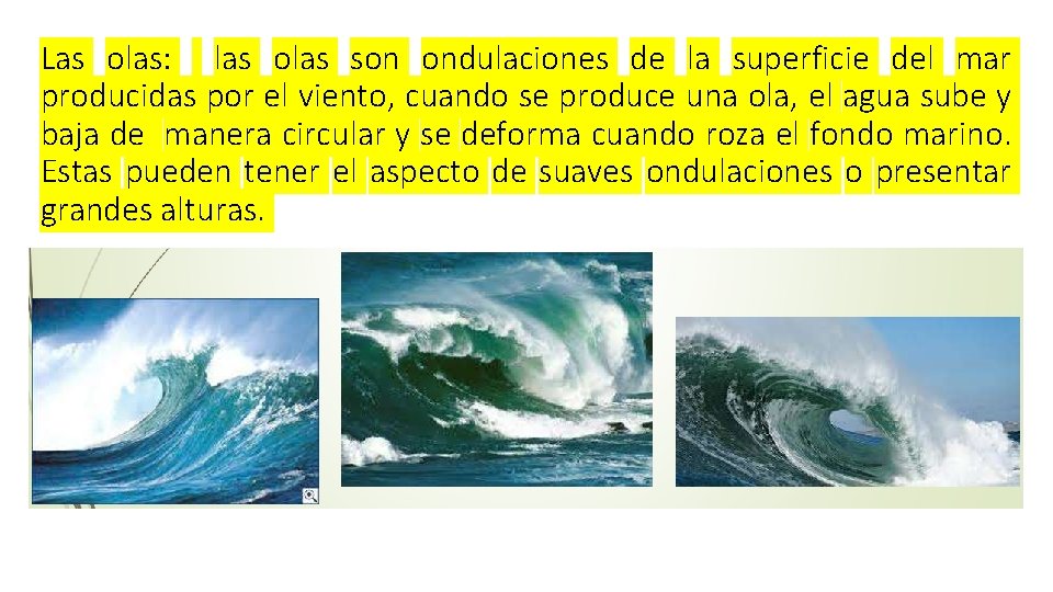 Las olas: las olas son ondulaciones de la superficie del mar producidas por el