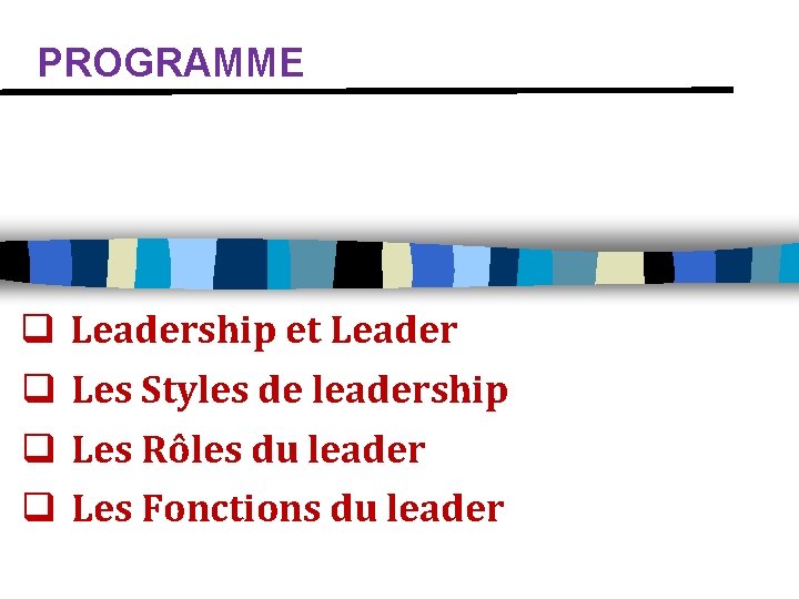 PROGRAMME q q Leadership et Leader Les Styles de leadership Les Rôles du leader