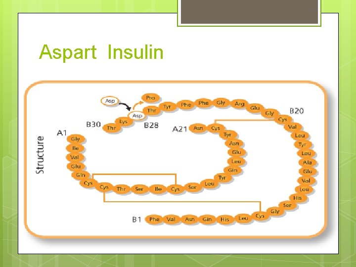 Aspart Insulin 