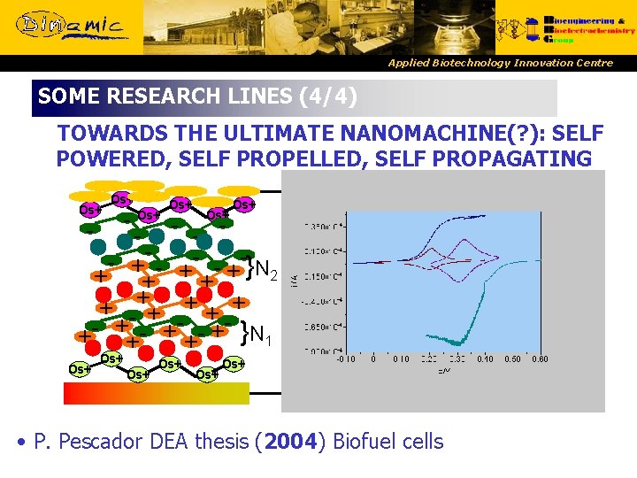 Applied Biotechnology Innovation Centre SOME RESEARCH LINES (4/4) TOWARDS THE ULTIMATE NANOMACHINE(? ): SELF