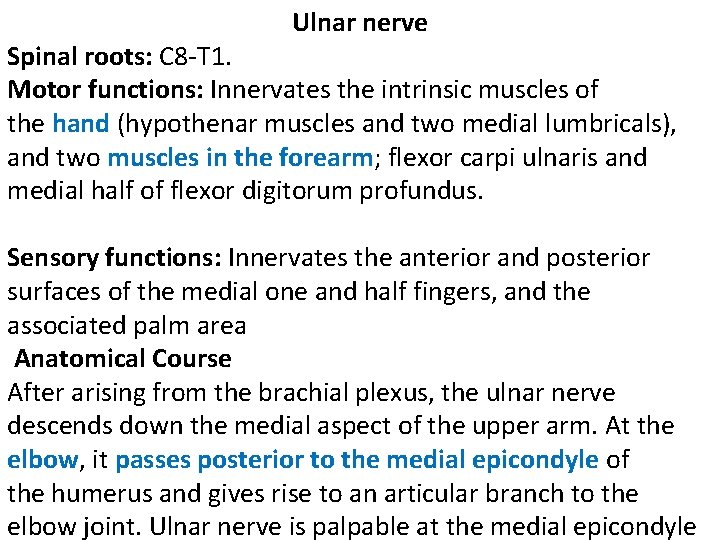 Ulnar nerve Spinal roots: C 8 -T 1. Motor functions: Innervates the intrinsic