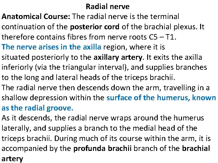  Radial nerve Anatomical Course: The radial nerve is the terminal continuation of the