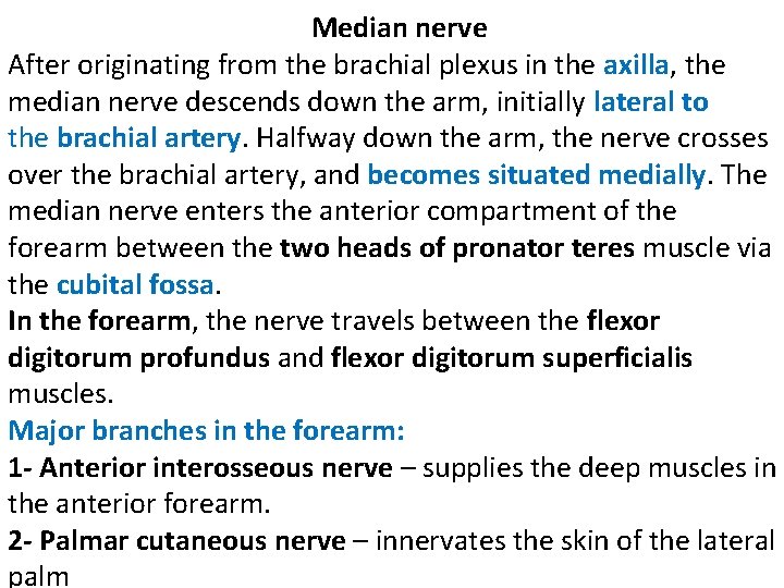  Median nerve After originating from the brachial plexus in the axilla, the median