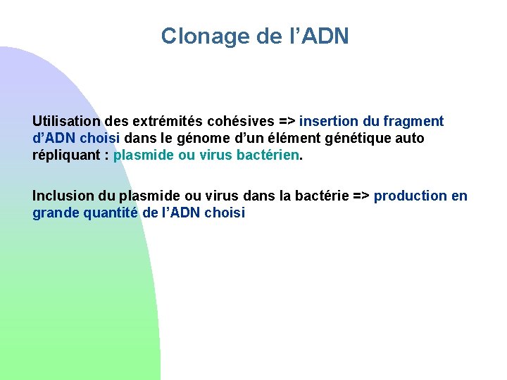 Clonage de l’ADN Utilisation des extrémités cohésives => insertion du fragment d’ADN choisi dans