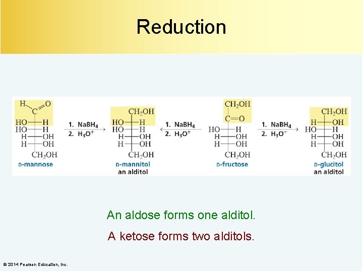 Reduction An aldose forms one alditol. A ketose forms two alditols. © 2014 Pearson