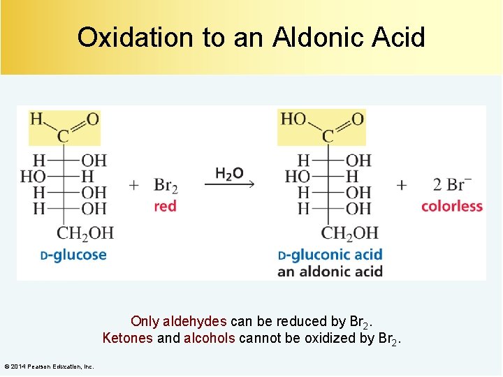 Oxidation to an Aldonic Acid Only aldehydes can be reduced by Br 2. Ketones