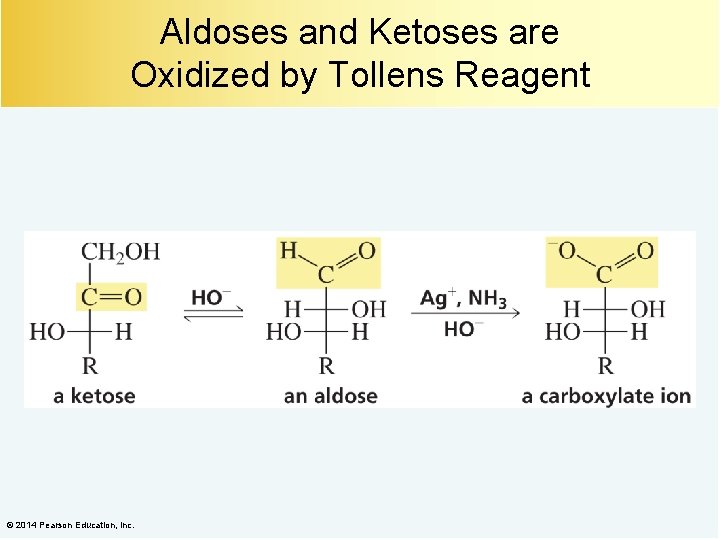 Aldoses and Ketoses are Oxidized by Tollens Reagent © 2014 Pearson Education, Inc. 