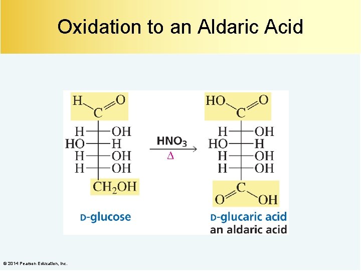 Oxidation to an Aldaric Acid © 2014 Pearson Education, Inc. 
