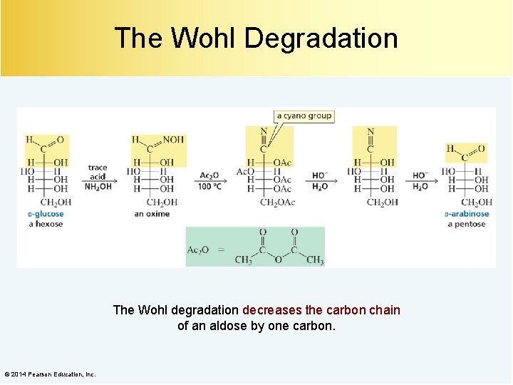 The Wohl Degradation The Wohl degradation decreases the carbon chain of an aldose by