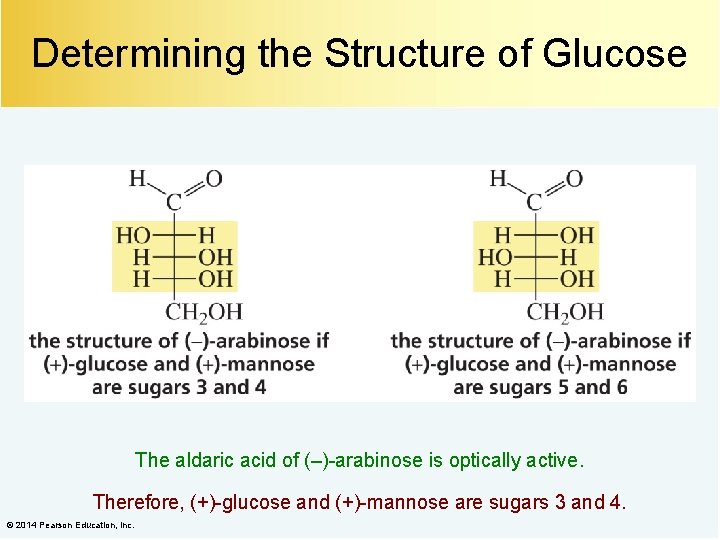 Determining the Structure of Glucose The aldaric acid of (–)-arabinose is optically active. Therefore,