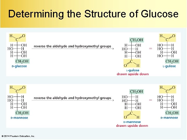 Determining the Structure of Glucose © 2014 Pearson Education, Inc. 