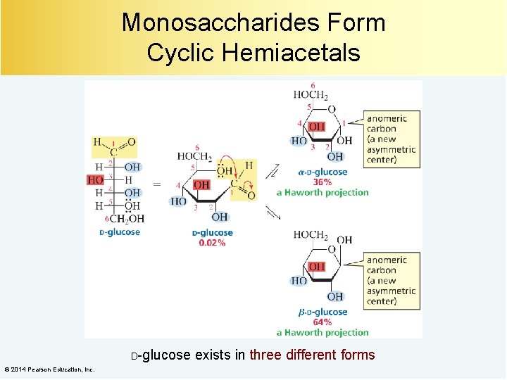 Monosaccharides Form Cyclic Hemiacetals D-glucose © 2014 Pearson Education, Inc. exists in three different