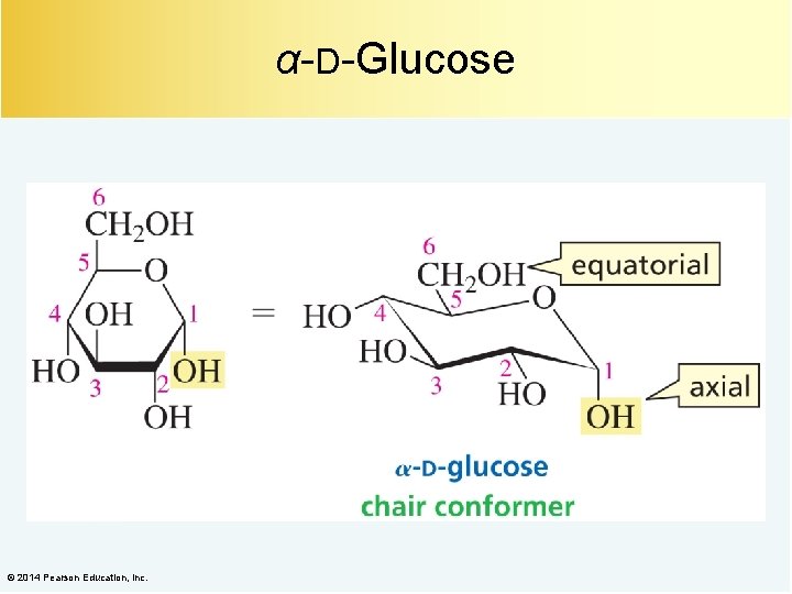 α-D-Glucose © 2014 Pearson Education, Inc. 