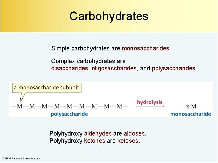 Carbohydrates Simple carbohydrates are monosaccharides. Complex carbohydrates are disaccharides, oligosaccharides, and polysaccharides Polyhydroxy aldehydes