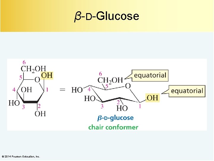 β-D-Glucose © 2014 Pearson Education, Inc. 