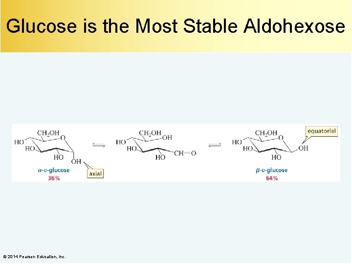 Glucose is the Most Stable Aldohexose © 2014 Pearson Education, Inc. 