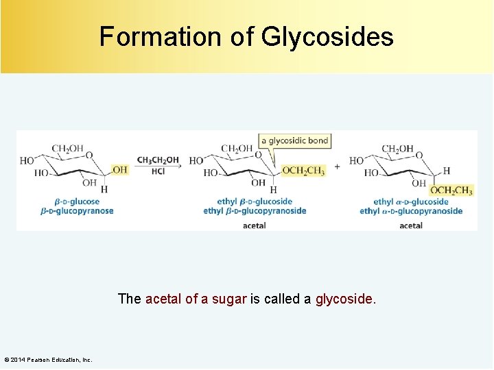 Formation of Glycosides The acetal of a sugar is called a glycoside. © 2014