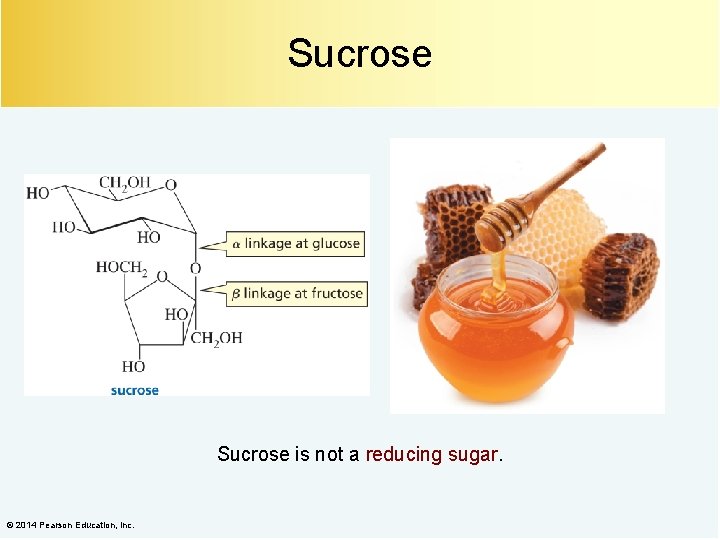 Sucrose is not a reducing sugar. © 2014 Pearson Education, Inc. 