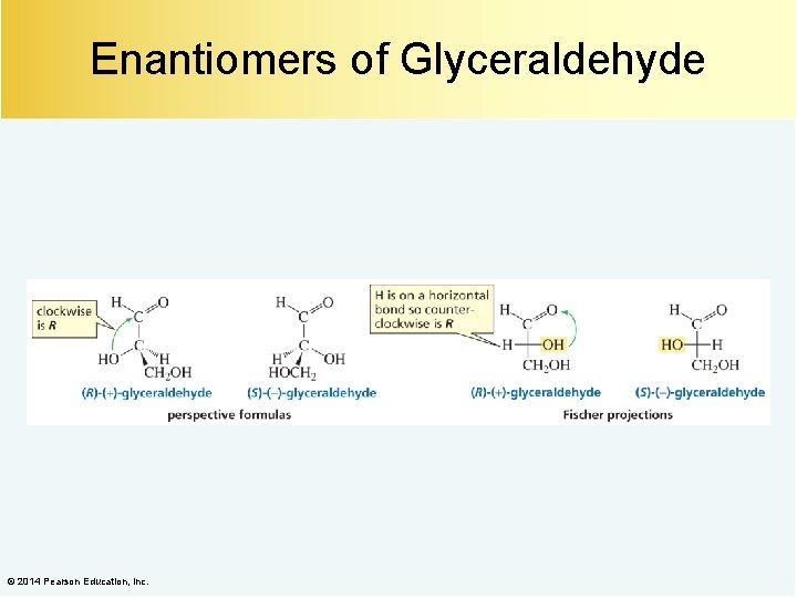 Enantiomers of Glyceraldehyde © 2014 Pearson Education, Inc. 