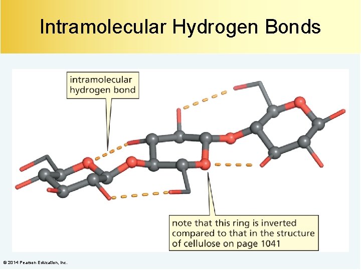 Intramolecular Hydrogen Bonds © 2014 Pearson Education, Inc. 