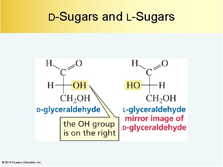 D-Sugars © 2014 Pearson Education, Inc. and L-Sugars 