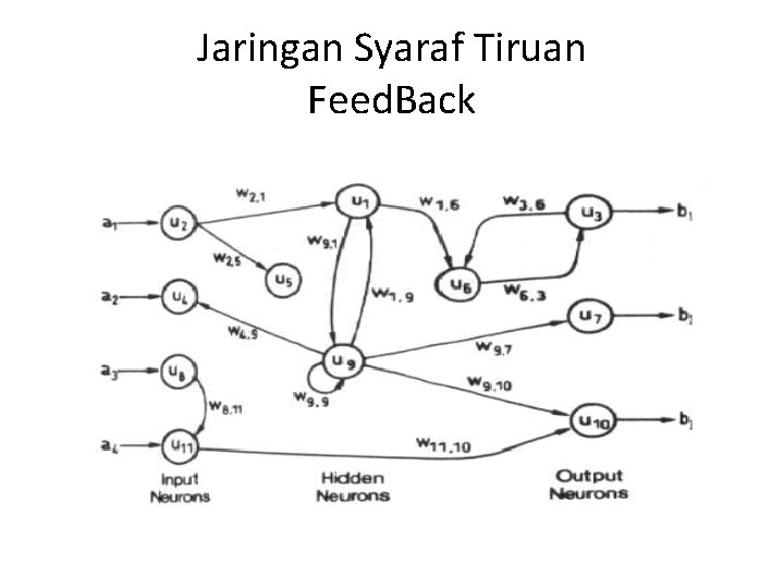 Jaringan Syaraf Tiruan Feed. Back 