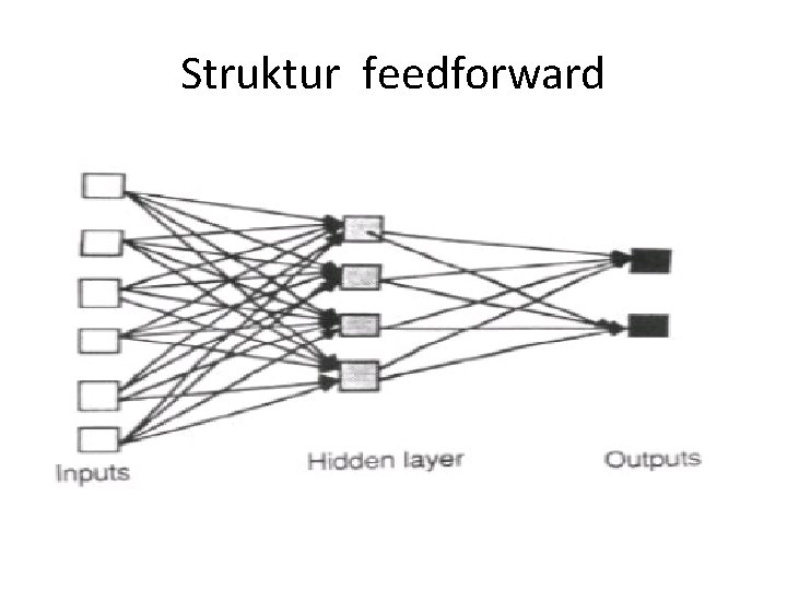 Struktur feedforward 