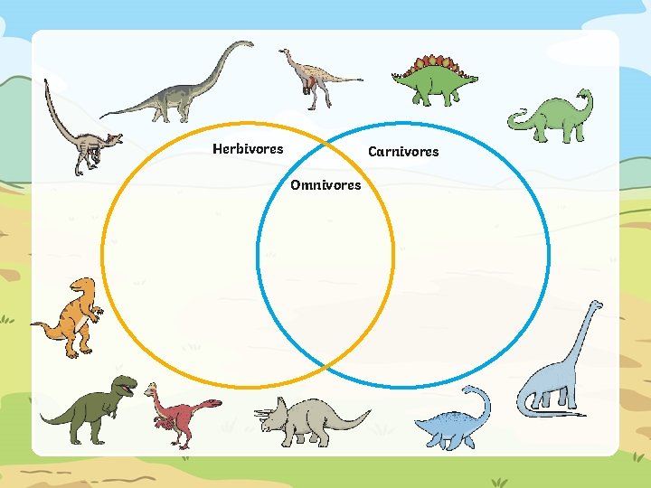 Herbivores Carnivores Omnivores 