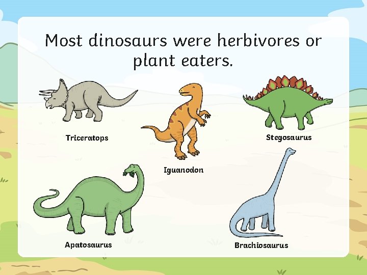 Most dinosaurs were herbivores or plant eaters. Stegosaurus Triceratops Iguanodon Apatosaurus Brachiosaurus 