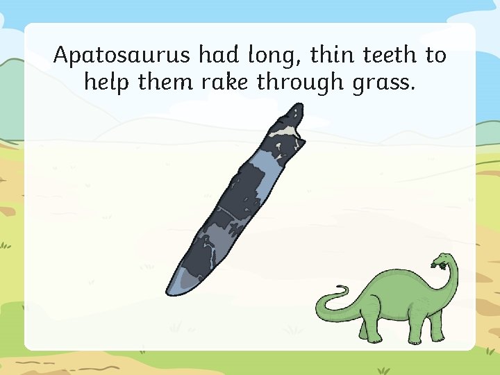 Apatosaurus had long, thin teeth to help them rake through grass. 