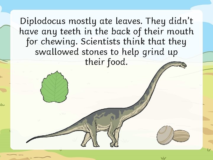 Diplodocus mostly ate leaves. They didn’t have any teeth in the back of their