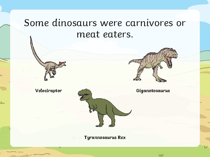 Some dinosaurs were carnivores or meat eaters. Giganotosaurus Velociraptor Tyrannosaurus Rex 