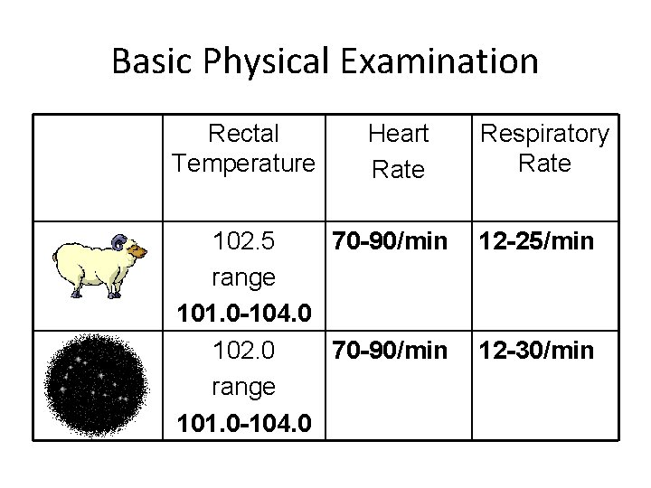 Basic Physical Examination Rectal Temperature Heart Rate 102. 5 70 -90/min range 101. 0