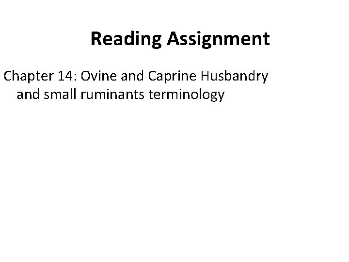 Reading Assignment Chapter 14: Ovine and Caprine Husbandry and small ruminants terminology 